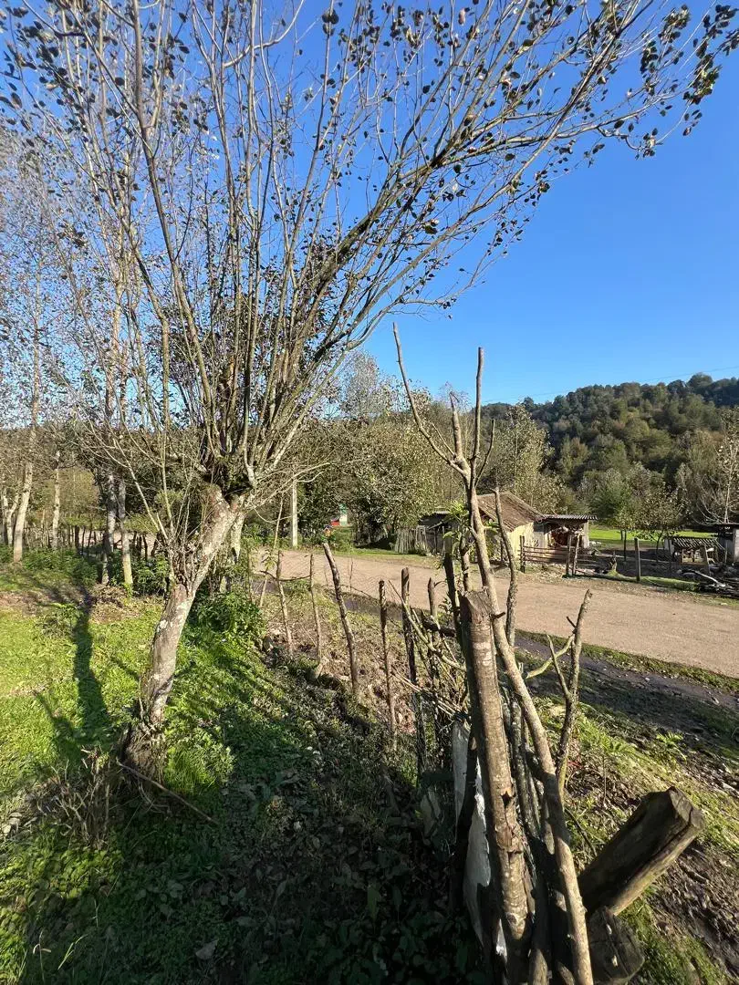 ۱۷۷متر ویلایی شونان رود /خانه آسیاب|فروش زمین و ملک کلنگی|آستارا, |دیوار