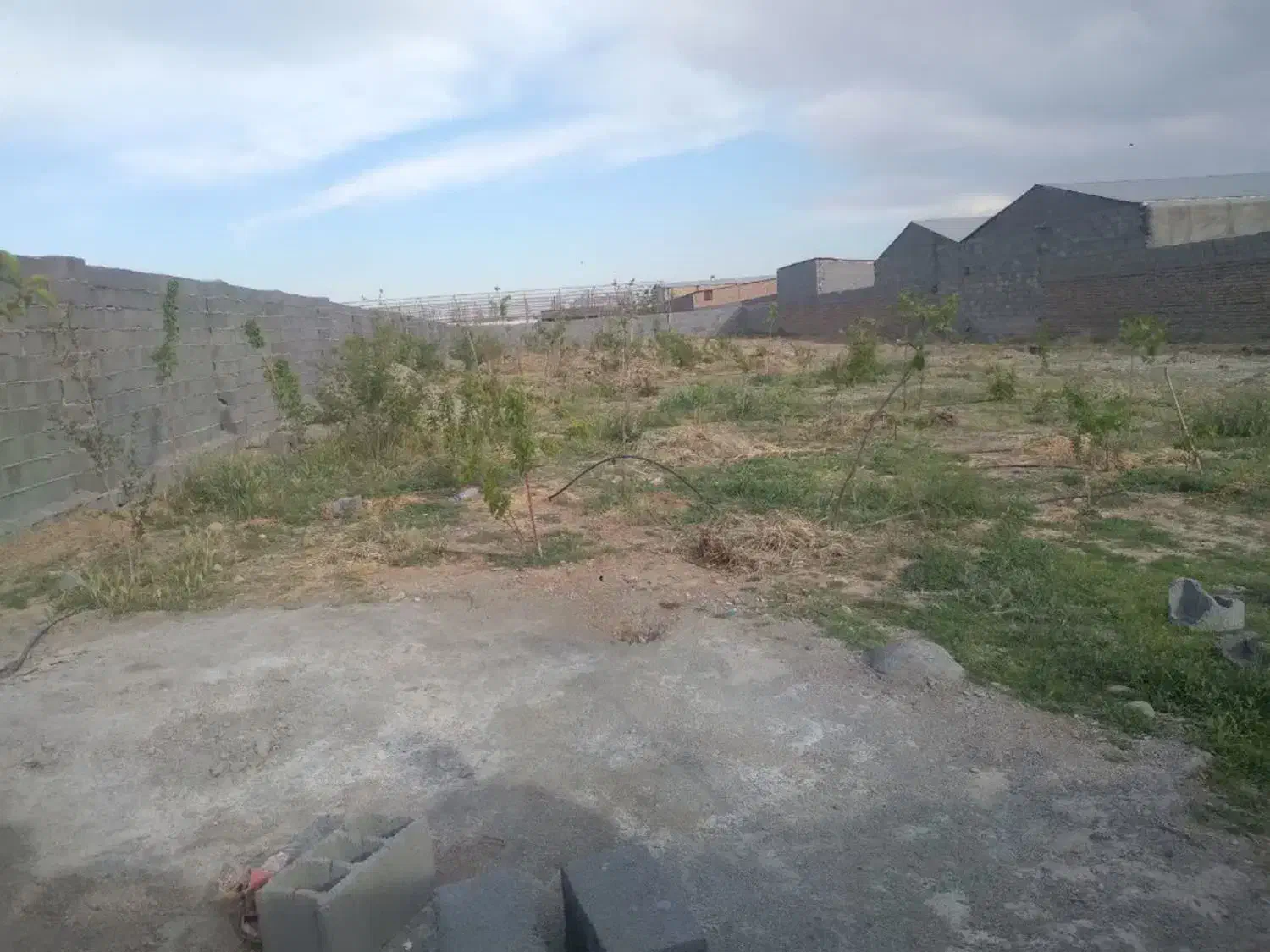 ۹هزار متر چهار دیواری زمین و باغچه و گلخونه|فروش زمین و ملک کلنگی|پاکدشت, پاکدشت (مامازند)|دیوار