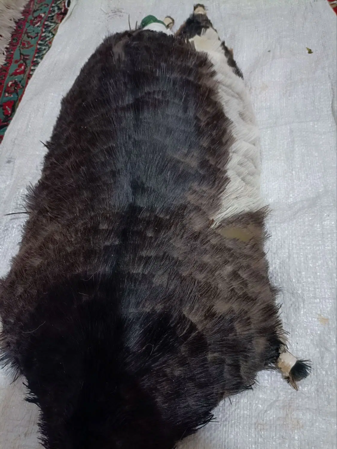 خیگ روغن|صنایع دستی و سایر لوازم تزئینی|ایذه, |دیوار