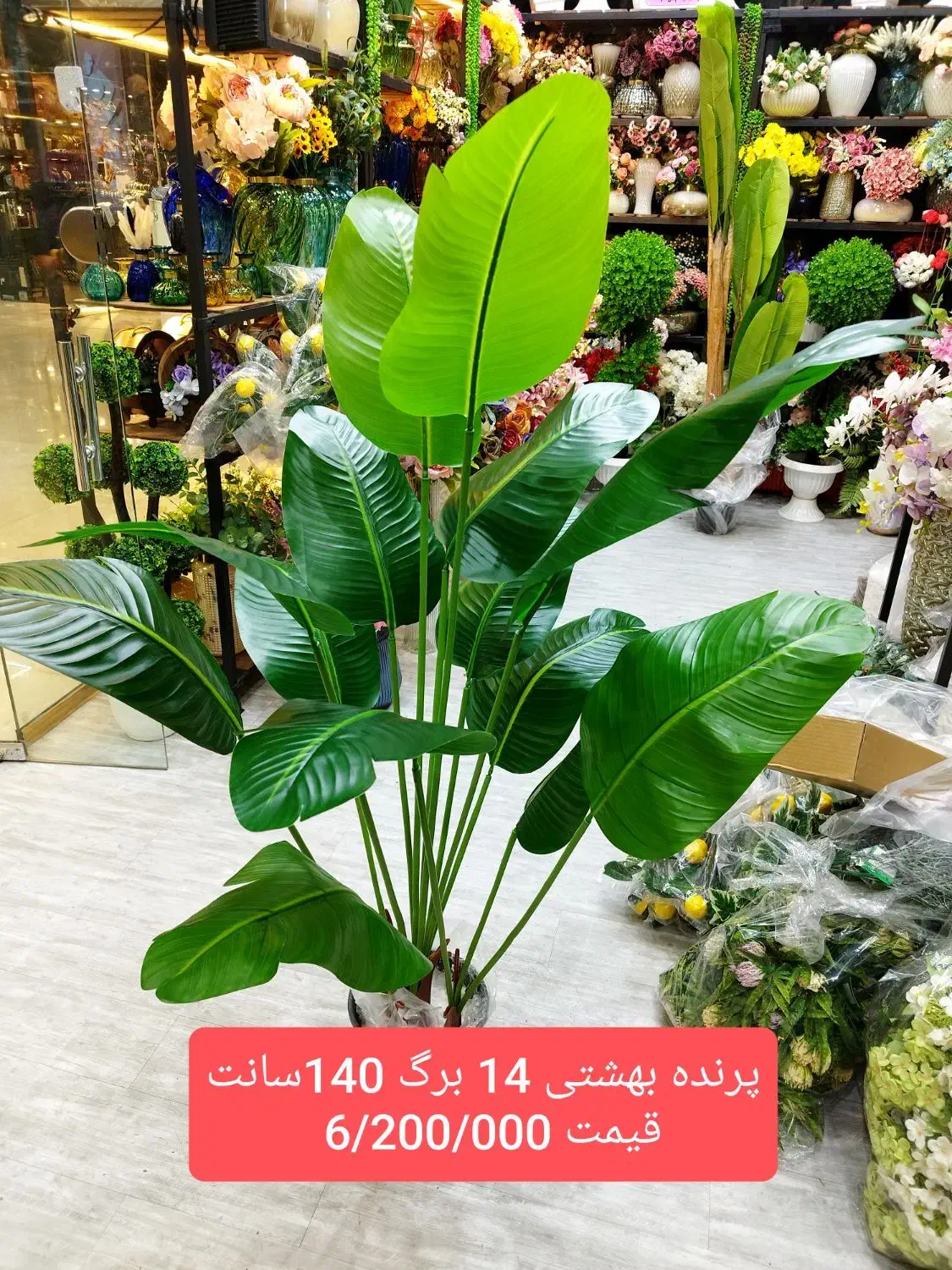 درختچه موز|گل مصنوعی|فردیس, فردیس|دیوار