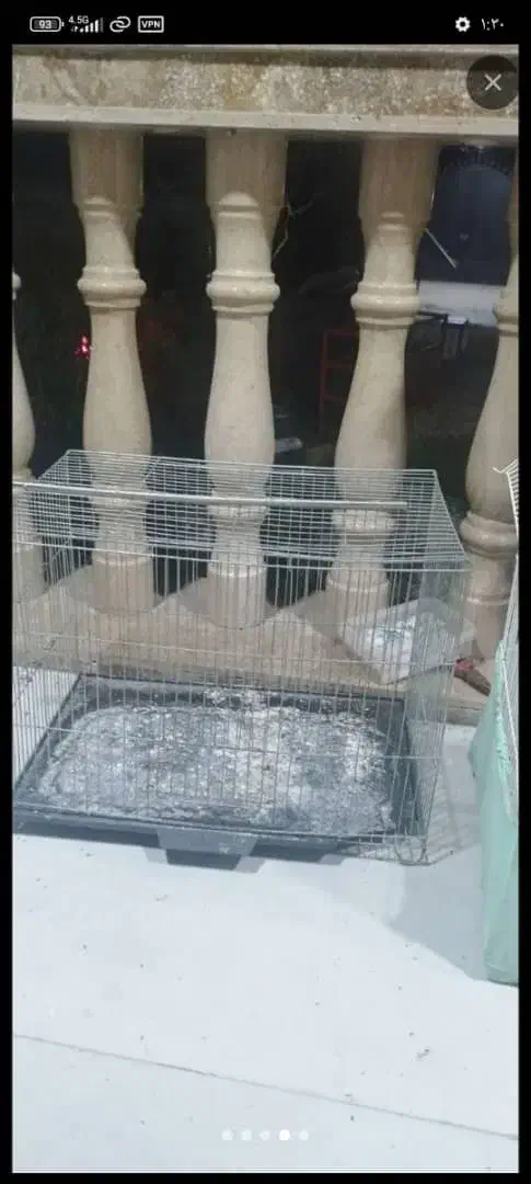 قفس و لانه کیف حمل|حراج|تالش, هشتپر|دیوار