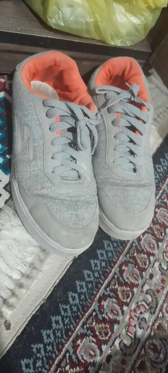 کفش|کیف، کفش، کمربند|کرمان, |دیوار