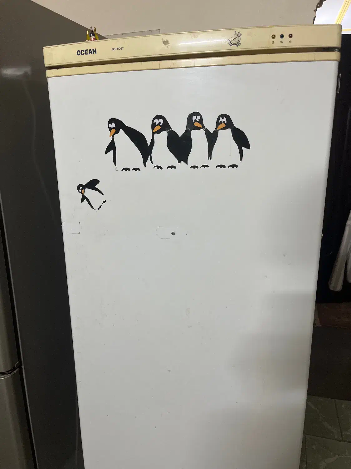 فریزر ایتالیایی اوشن|یخچال و فریزر|لاهیجان, امیرشهید|دیوار