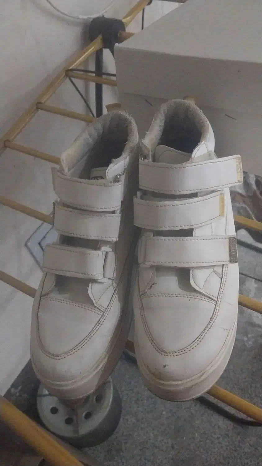 کفش|کیف، کفش، کمربند|اراک, |دیوار