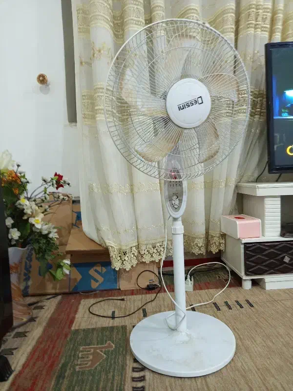 گلیم فرش. پنکیه. باربند پراید. جارو برقی|جاروبرقی، جارو شارژی، بخارشو|برازجان, |دیوار