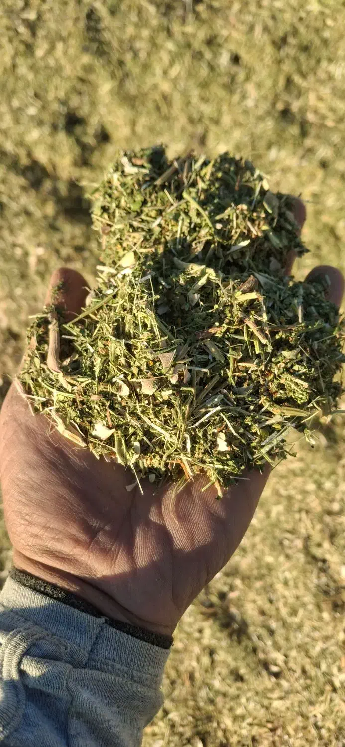 کاه لوبیا|خدمات باغبانی و درختکاری|سنگر, |دیوار