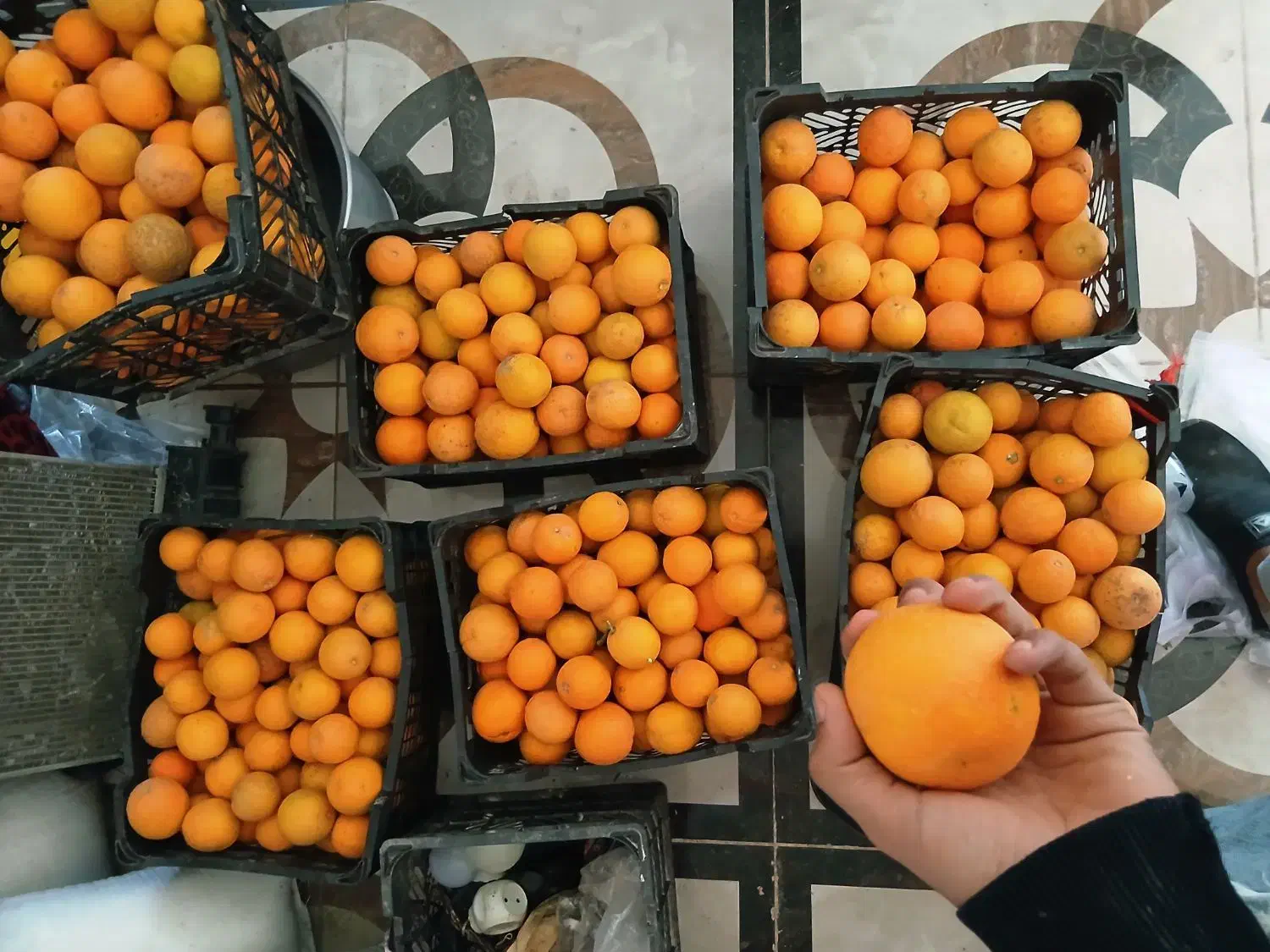 یافاشیرین به شرط آبدار بودن شیرین بودن|حراج|گنبد کاووس, |دیوار