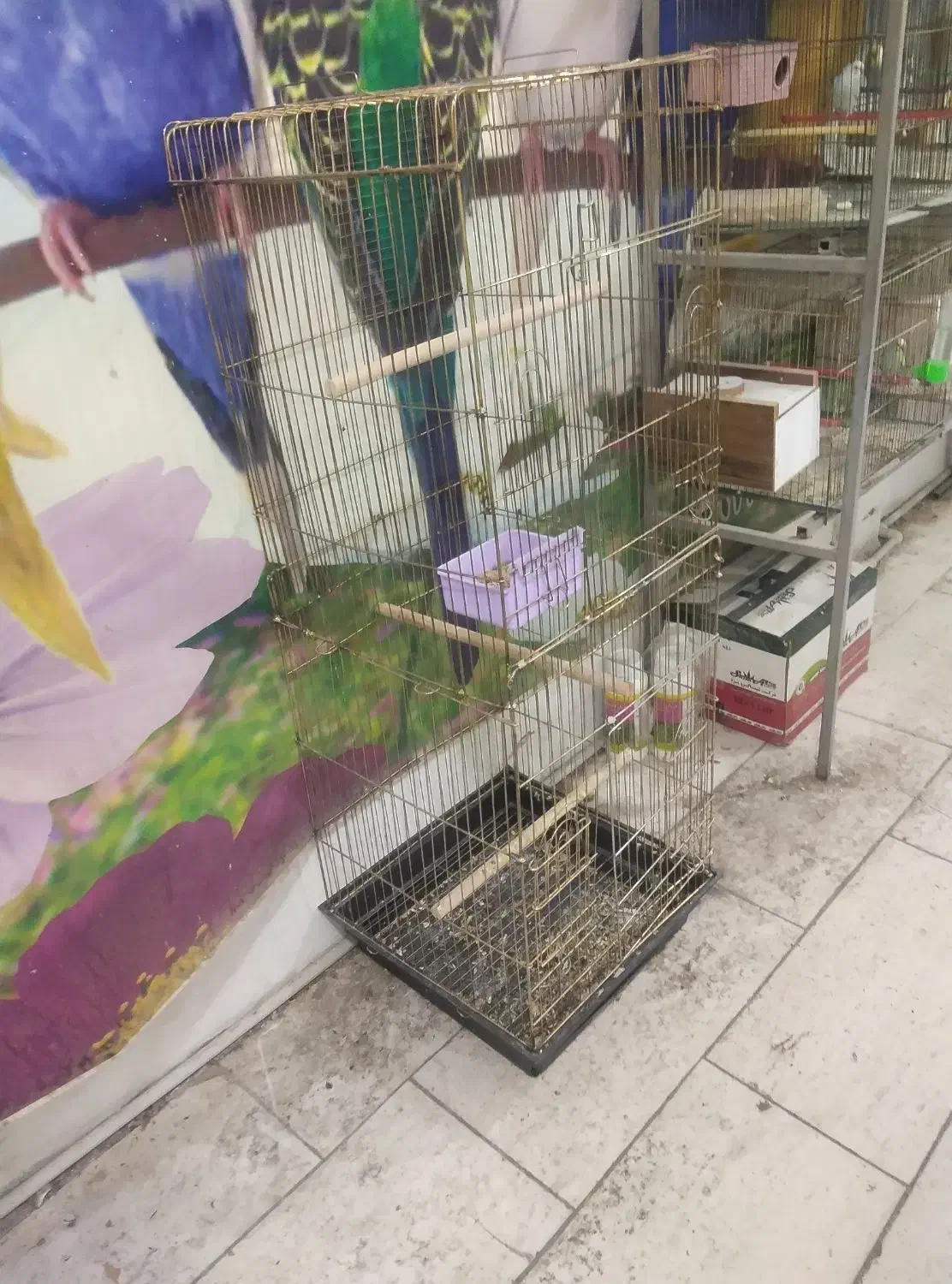 قفس بسیاربزرگ دوطبقه کاسکویی    آیهان|لوازم جانبی حیوانات|خوی, |دیوار