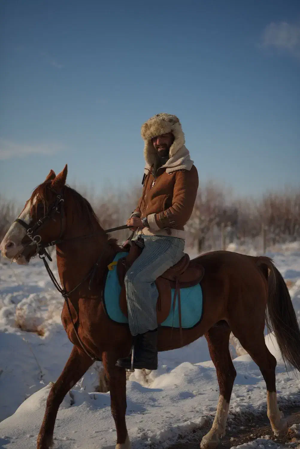 نریون اصیل کرد|اسب و تجهیزات اسب‌سواری|تهران, شادمان|دیوار