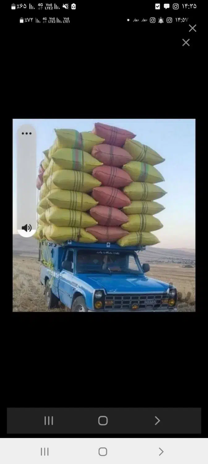 سامان یا کاه|عمده‌فروشی|سراب, |دیوار