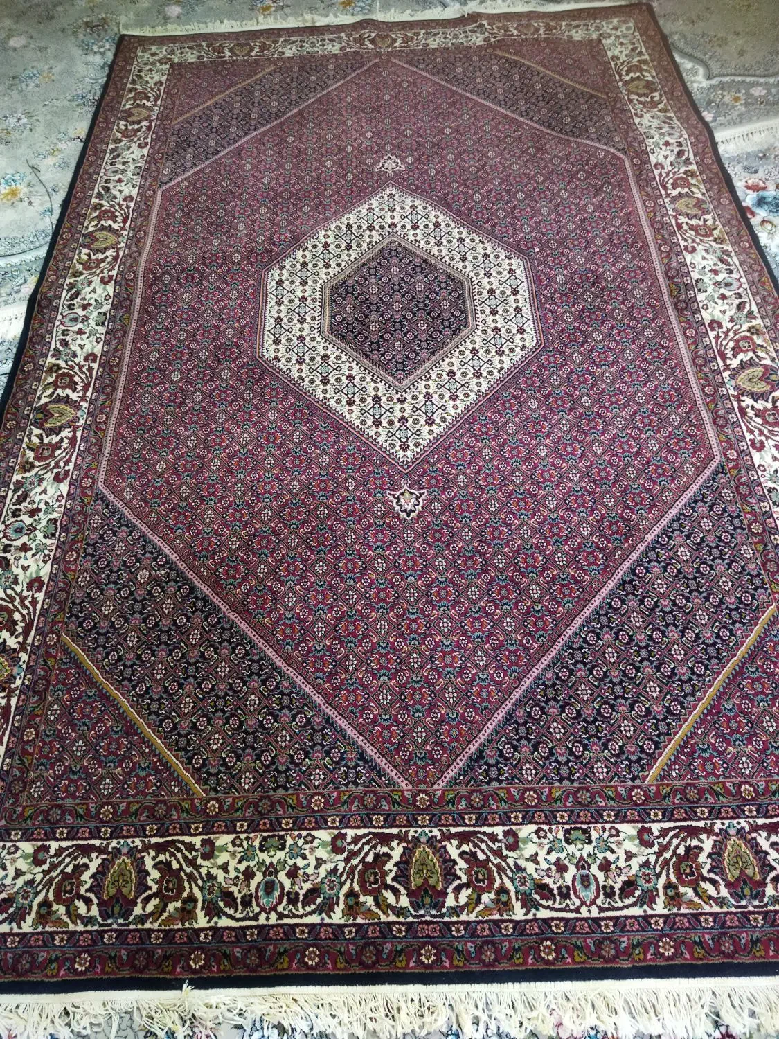 کناره و فرش شیش متری|فرش|بروجرد, |دیوار