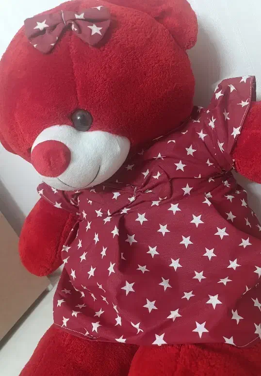 خرس قرمز|اسباب‌بازی بچه|مشهد, آبکوه|دیوار