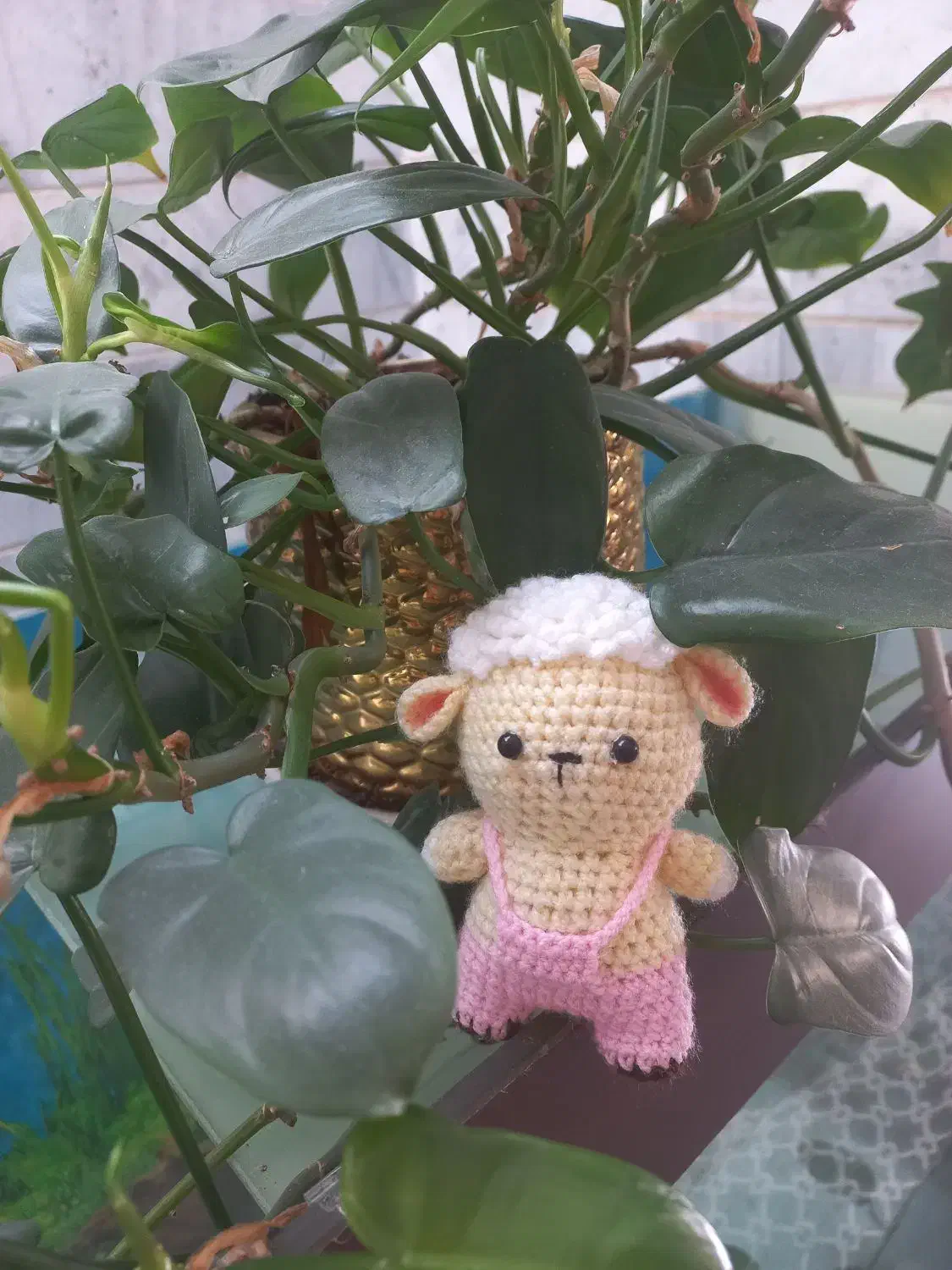 یک دوست بافتنی پیدا کن|اسباب‌‌بازی|بیرجند, |دیوار