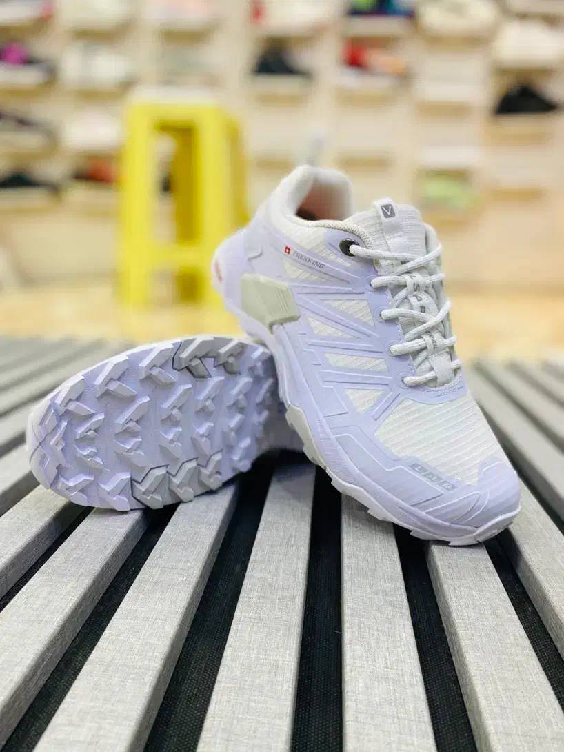 کتونی VCO|کیف، کفش، کمربند|بانه, |دیوار