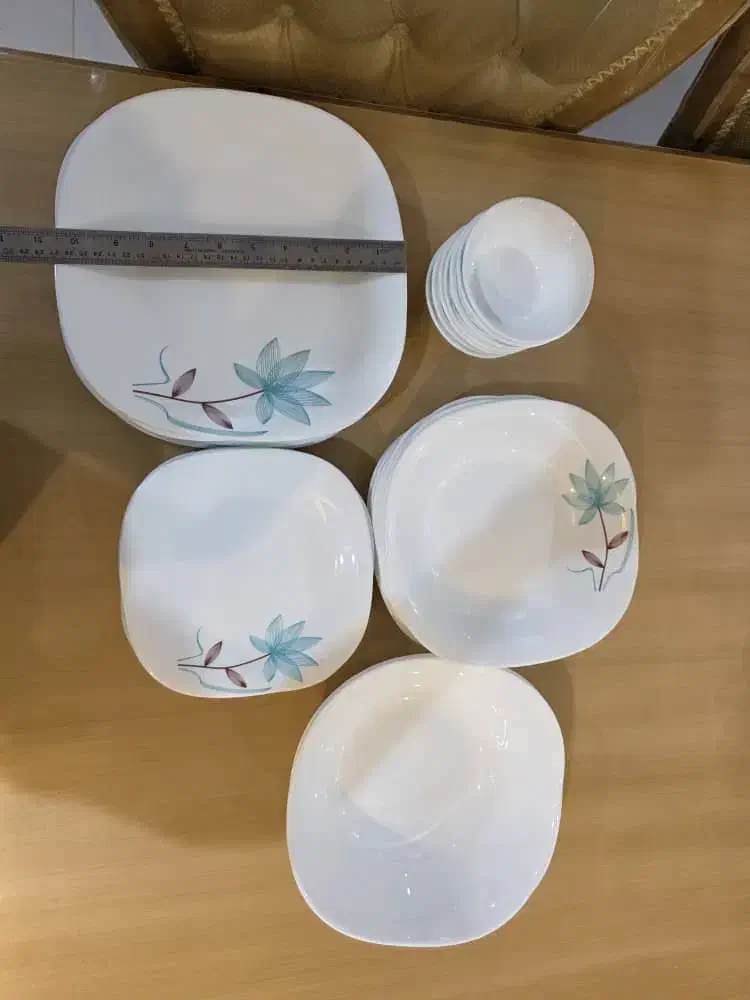 سرویس غذاخوری آرکوپال اسپانیا|ظروف سرو و پذیرایی|شیراز, آبیاری|دیوار