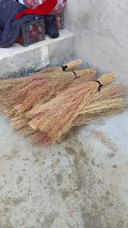 فروش جارو  دسته|لوازم نظافت|نهاوند, |دیوار