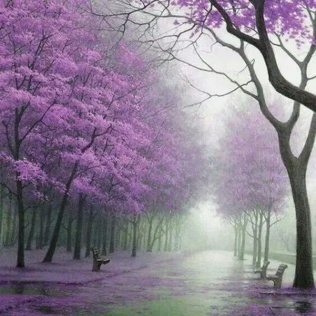 نظافت انجام میشه|خدمات نظافت|نوشهر, |دیوار