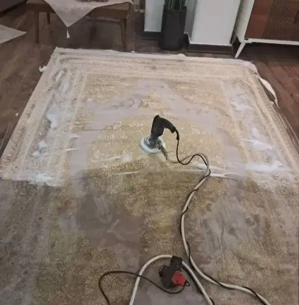 مبل شویی قالی شویی ماشینی و دستبافت و سم پاشی|خدمات نظافت|تهران, تهرانسر شرقی|دیوار