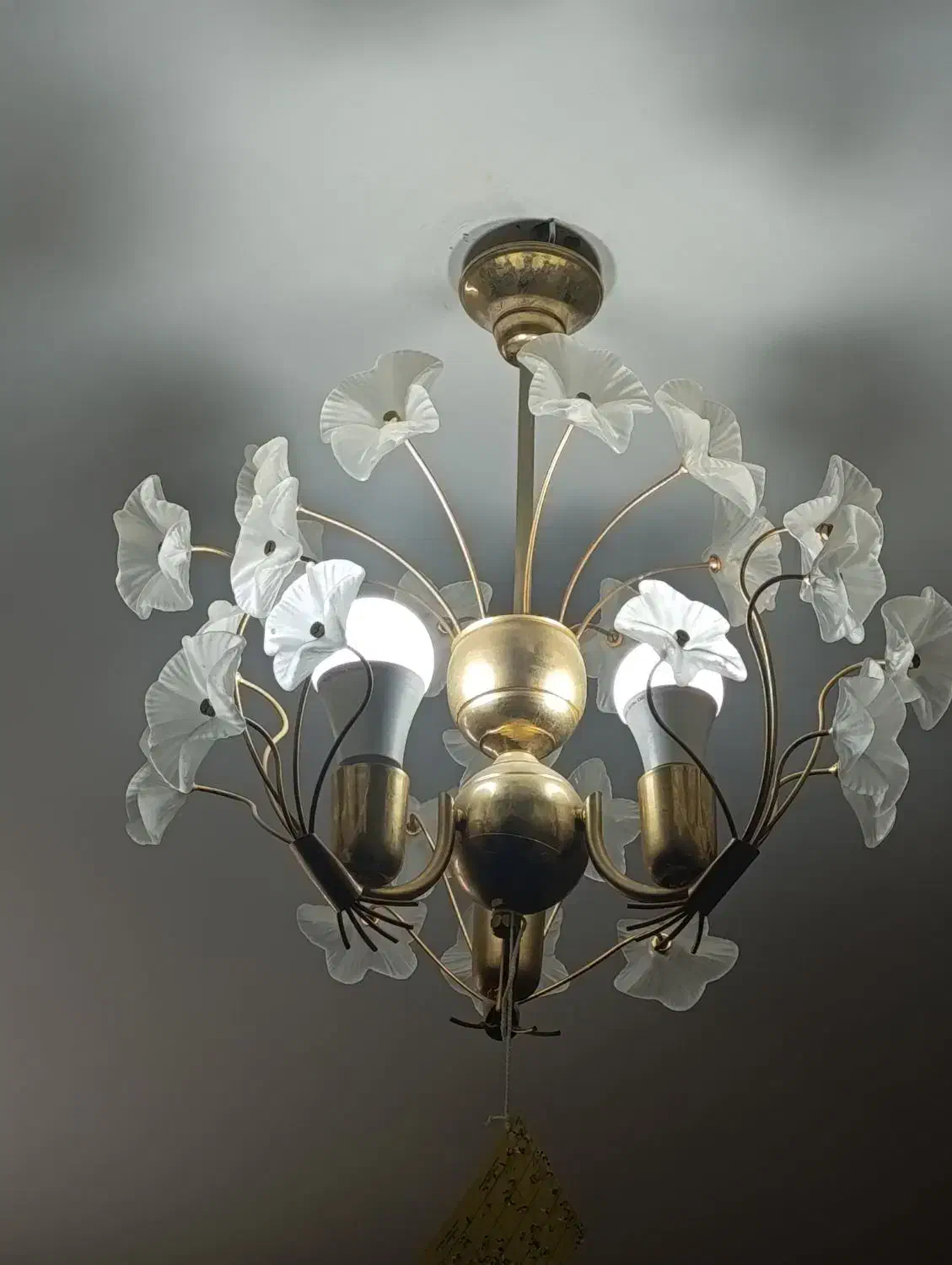 لوستر ۵ شاخه زیبا|لوستر و چراغ آویز|شیراز, نصر|دیوار