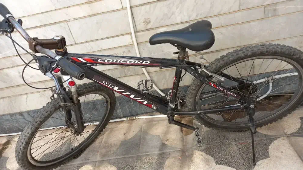 دوچرخه ویوا ۲۶|دوچرخه، اسکیت، اسکوتر|شیراز, تندگویان|دیوار