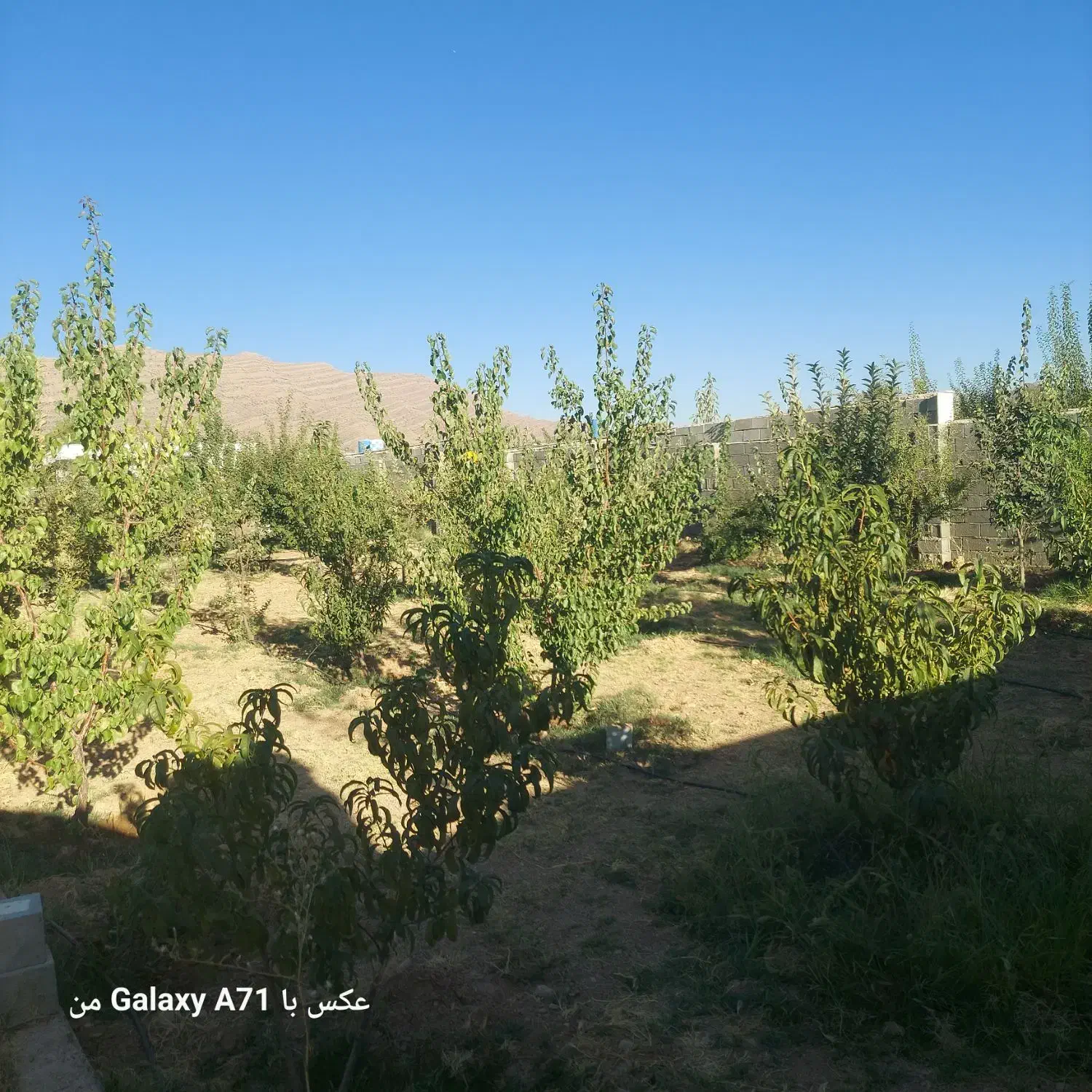 ۱۵۰۰ متر سند تک برگ نمای بیرون سنگ معاوضه با خودرو|فروش خانه و ویلا|ارژن, |دیوار