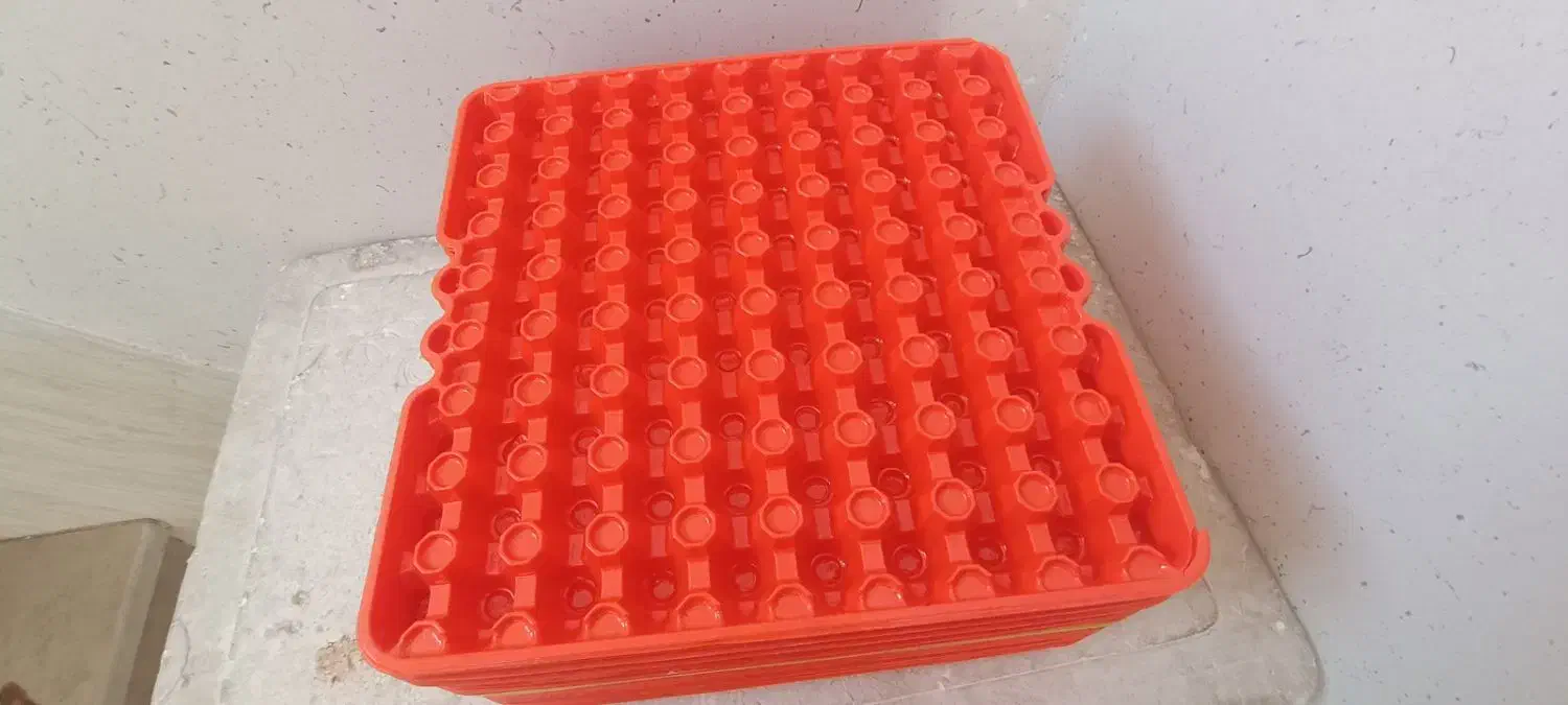 شونه بلدرچین|ظروف نگهدارنده، پلاستیکی، یک‌بارمصرف|اصفهان, شهرک صنعتی امیرکبیر (شاپور جدید)|دیوار