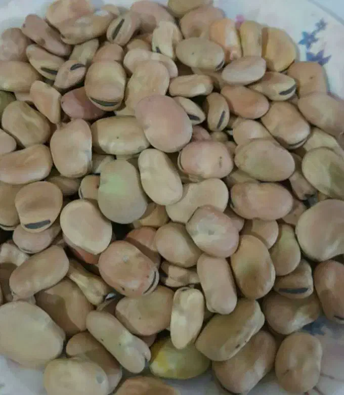 باقله|خوردنی و آشامیدنی|باشت, |دیوار