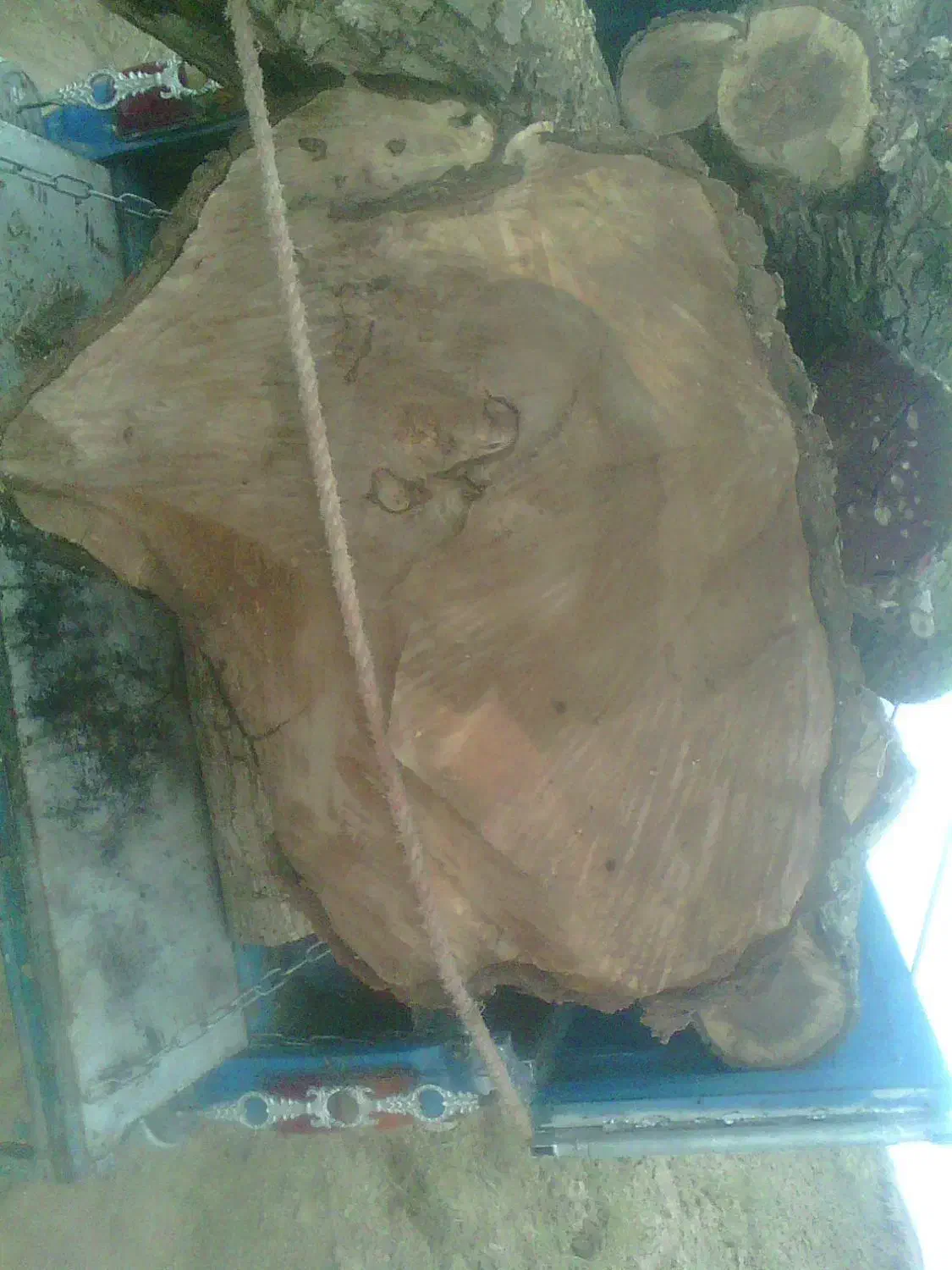 خ ریدچوببالاترین قیمت چوب خشک و تر|خدمات باغبانی و درختکاری|خرمدره, |دیوار