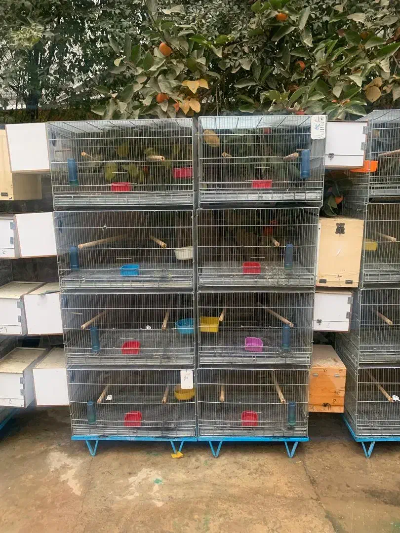 قفسه جفت خان تعداد 8جفت هر جفت 4 عدد|لوازم جانبی حیوانات|تهران, درکه|دیوار