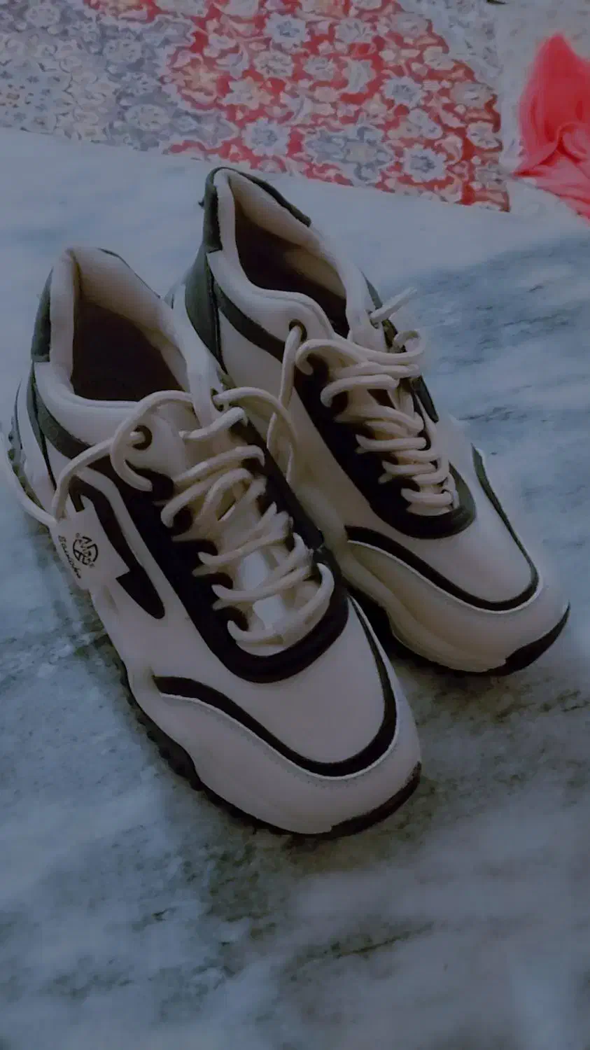 کفش|کیف، کفش، کمربند|تایباد, |دیوار