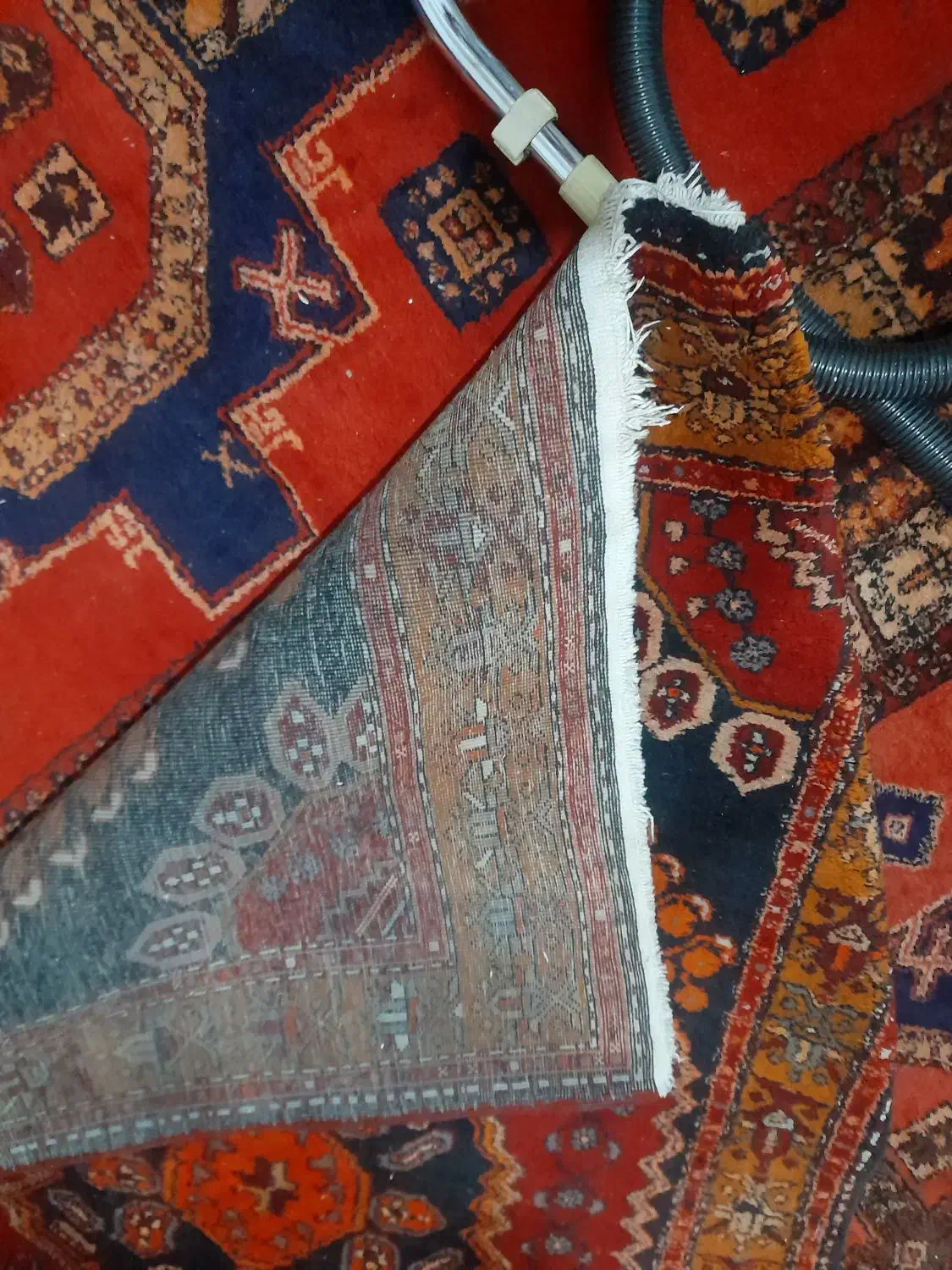 فرش دستبافت قدیمی|فرش|ورامین, ورامین|دیوار