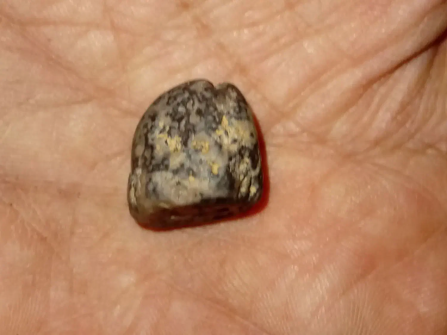 شهاب سنگ و نگین سلطانی اصل|کلکسیون اشیاء عتیقه|شوش, |دیوار