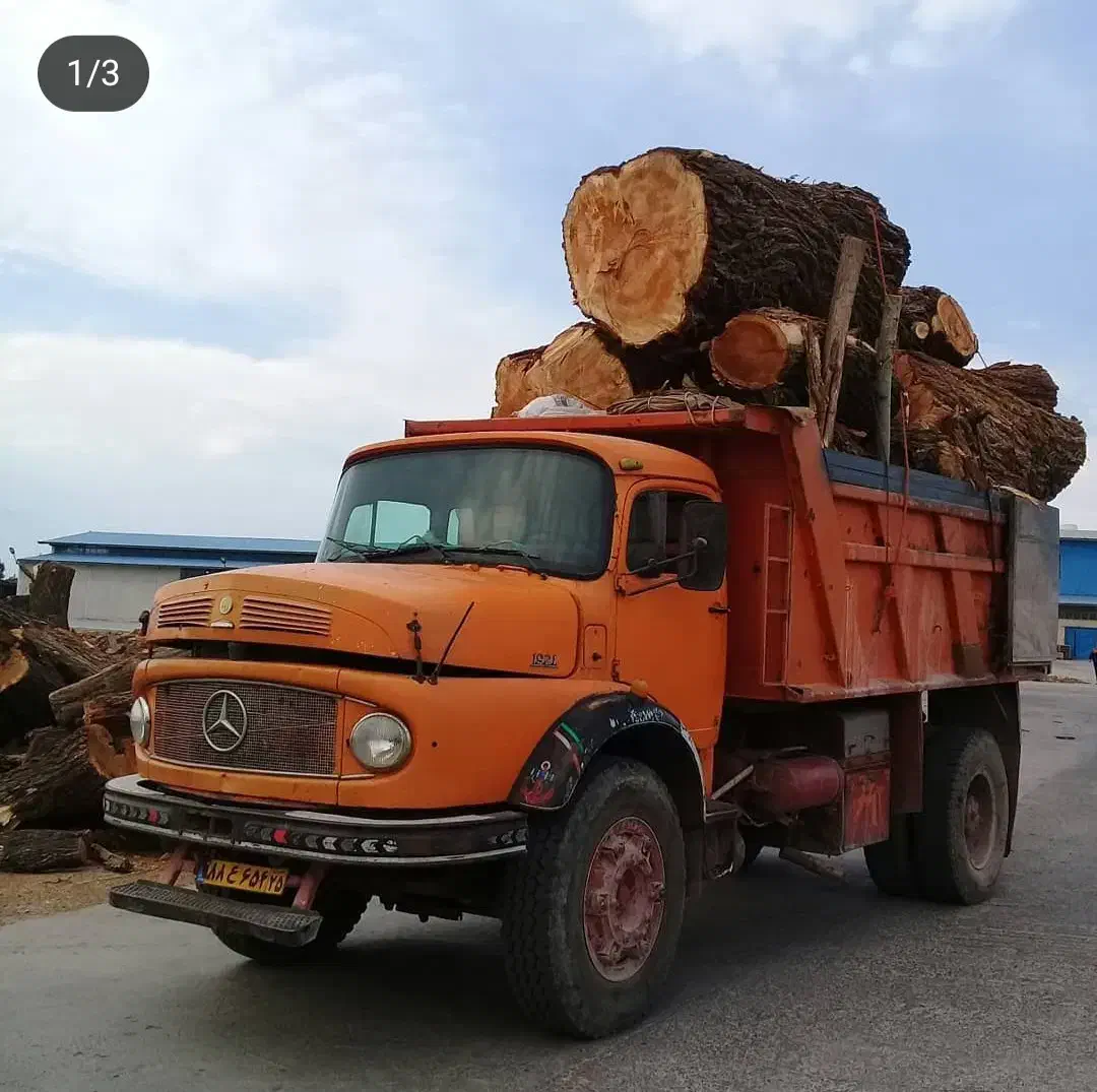 خرید انواع درخت به قیمت مناسب|خدمات باغبانی و درختکاری|سراب, |دیوار