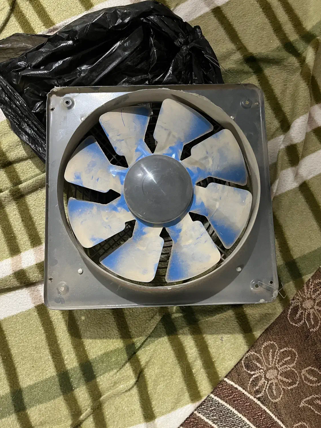 تخت مژه|آرایشی، بهداشتی، درمانی|قوچان, |دیوار