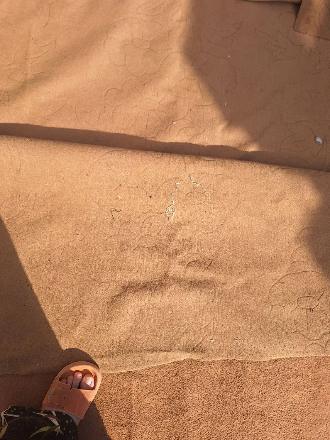 موکت ۲۰ متر|موکت|گالیکش, |دیوار