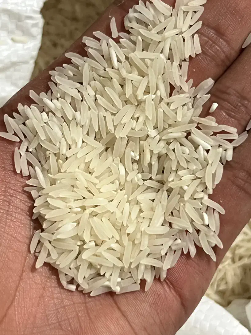 فجر سوزنی فوق العاده|خوردنی و آشامیدنی|گرگان, |دیوار