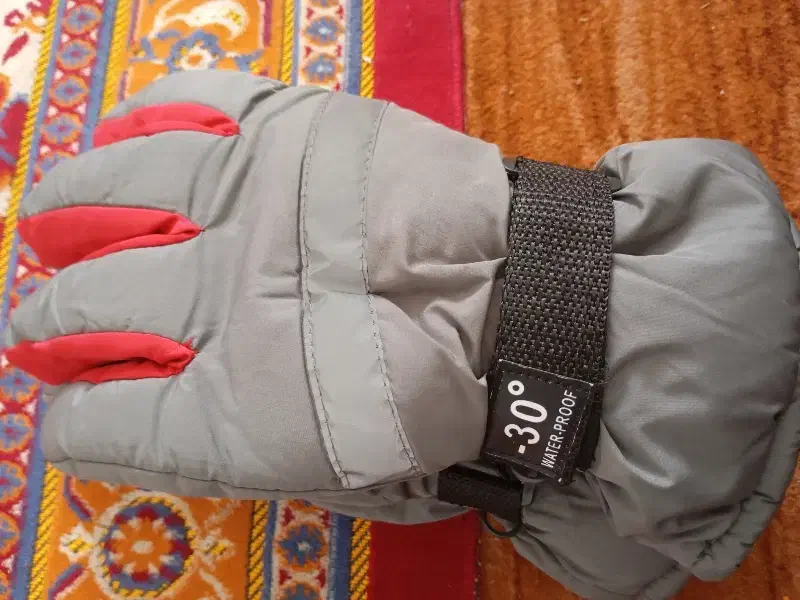 دستکش موتور|لباس|گنبد کاووس, |دیوار