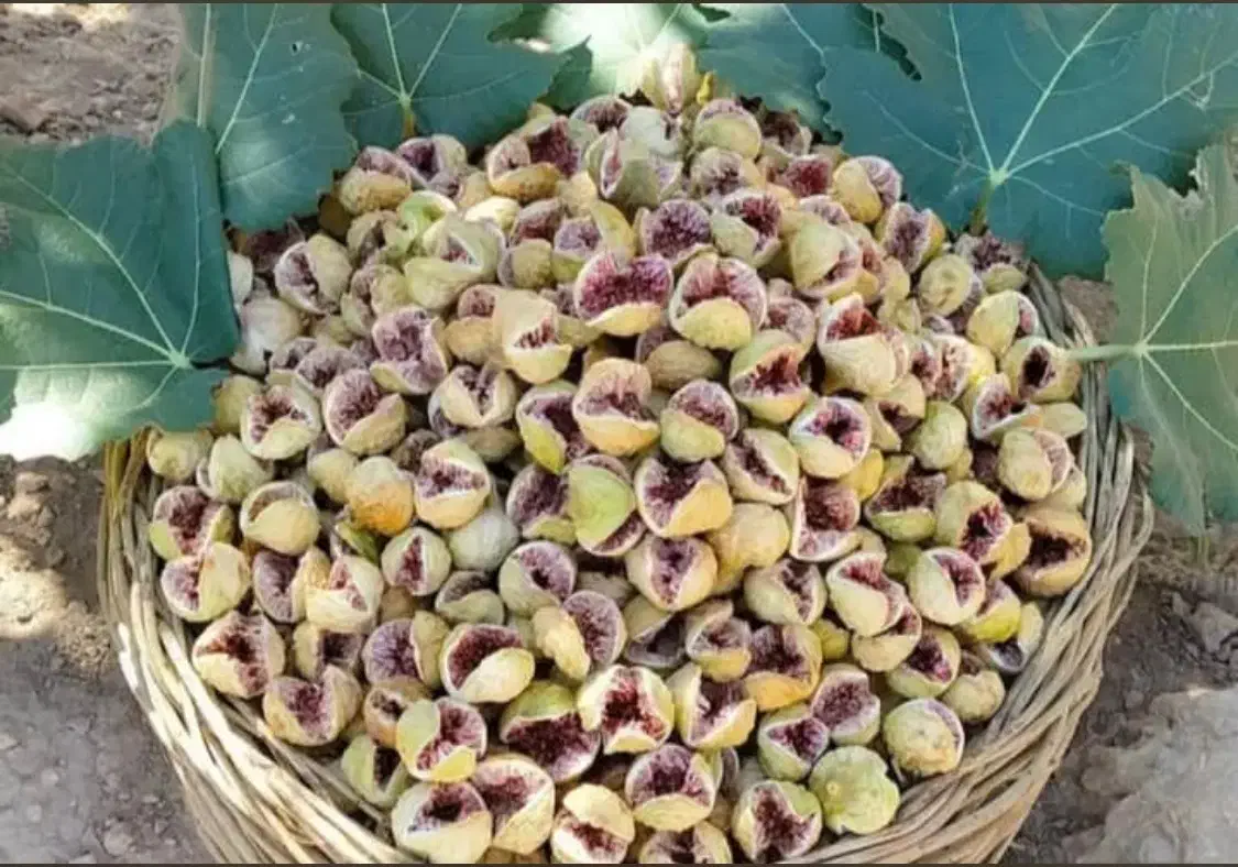 نیازمند کارگر با خانواده جهت کار در باغ انجیر|استخدام سرایداری و نظافت|خفر, |دیوار