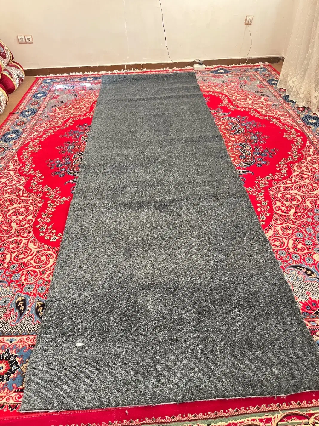 پالاز موکت|موکت|دهدشت, |دیوار