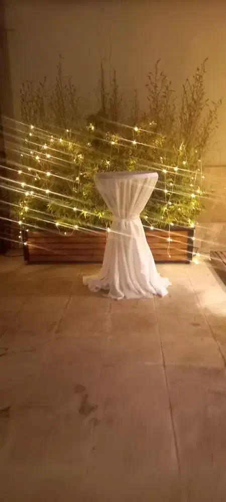 اجاره گرمایشی بخاری .میز .حریر آرایی .نور پردازی|خدمات پذیرایی، مراسم|فردیس, منظریه|دیوار