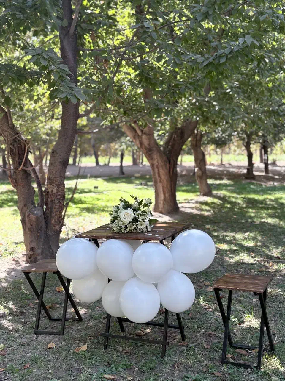 فروش ویژه میز و صندلی نهار خوری چوبی فلزی/تاشو|میز و صندلی غذاخوری|نجفآباد, شهید رجایی|دیوار