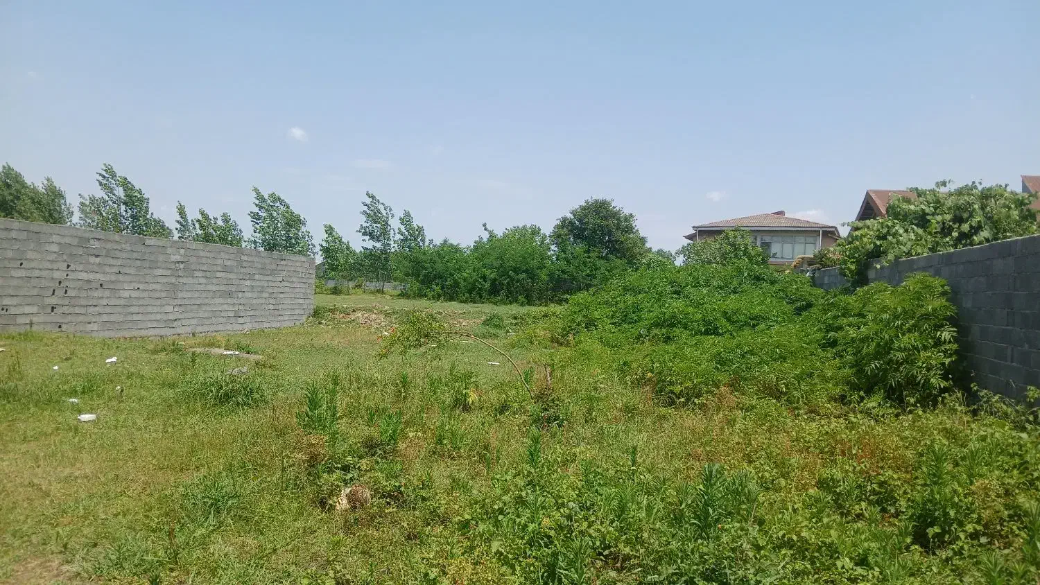 ۴۰۸زمین مسکونی دوردیوارسنگررشت|فروش زمین و ملک کلنگی|سنگر, |دیوار