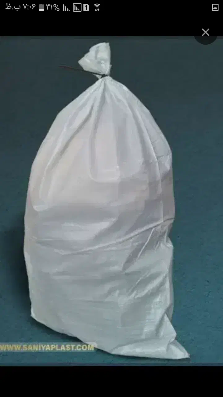 سلام کود کفتر|پرنده|تربت‌حیدریه, اندیشه|دیوار