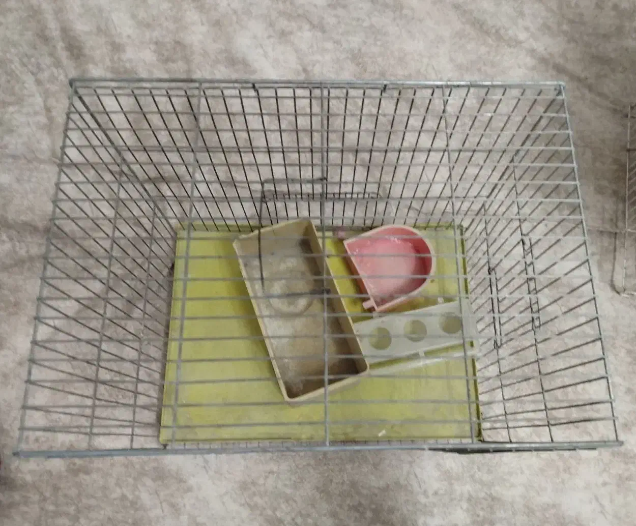 قفس بدون زنگ زدگی|لوازم جانبی حیوانات|اسلام‌شهر, مطهری|دیوار