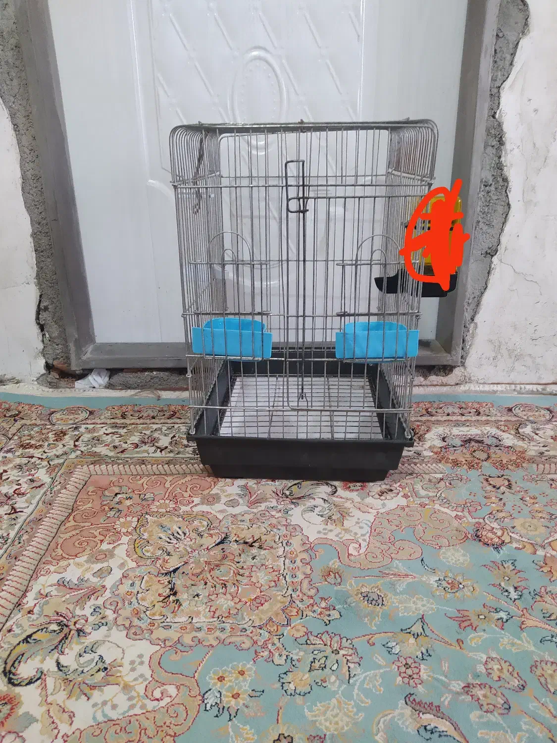 قفس پرنده فروشی قیمت. 500|لوازم جانبی حیوانات|بهشهر, |دیوار
