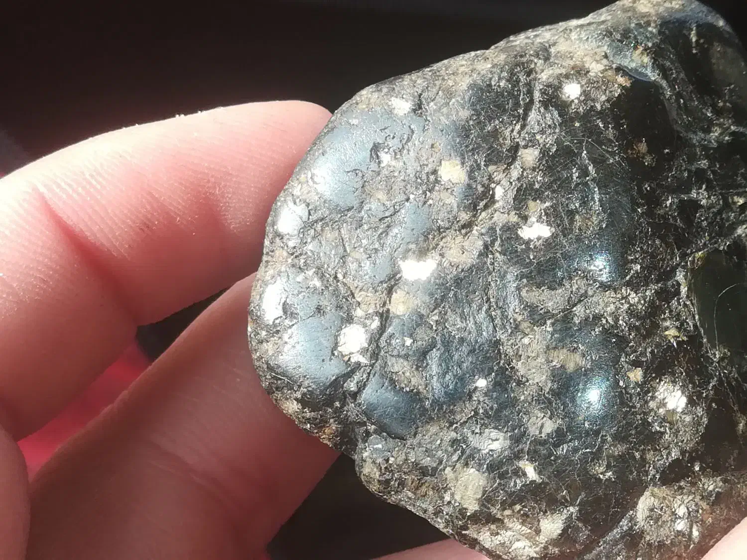 شهاب سنگ پالاساید|کلکسیون اشیاء عتیقه|تهران, تهرانپارس شرقی|دیوار