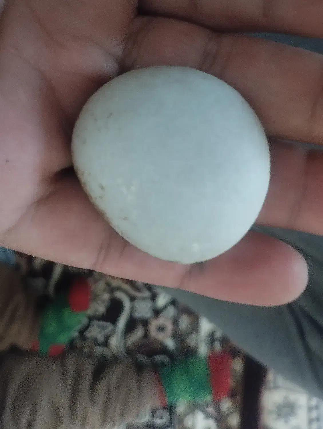 آسیاب|جواهرات|گل تپه, |دیوار