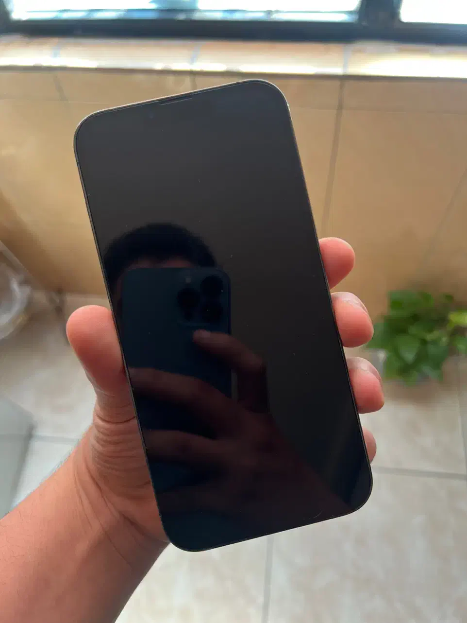 13pro max|موبایل|تهران, تهرانسر شمالی|دیوار