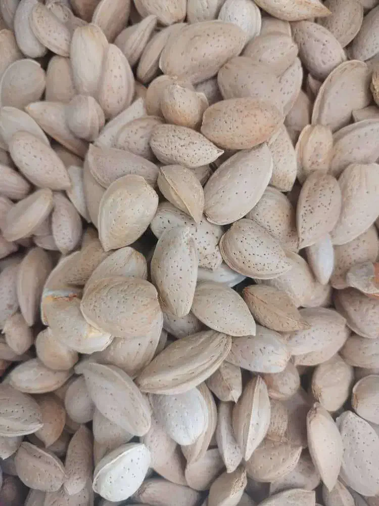 سلام درود فراوان خدمت یک ویک عزیزان تخفیف مارکت|فروشگاه و مغازه|زرقان, |دیوار