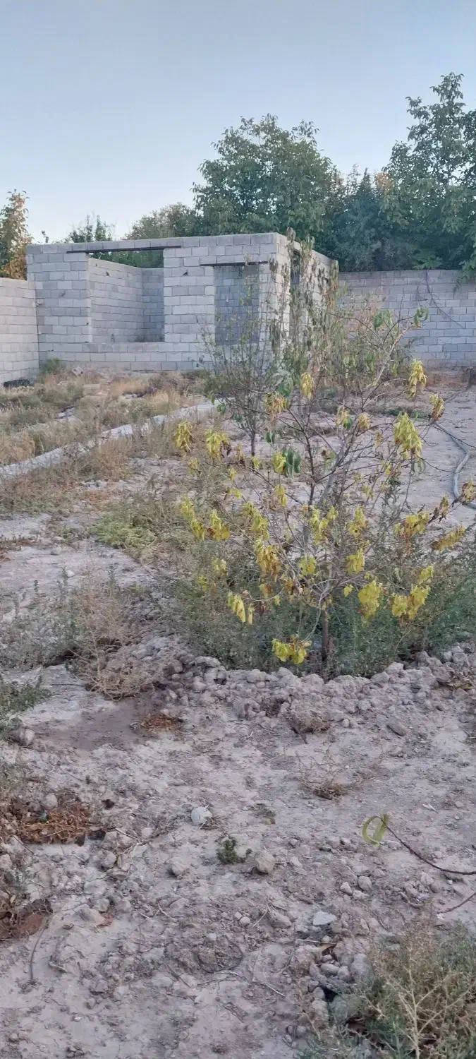 فروش باغ لاهیجان خسروشاه|فروش خانه و ویلا|خسروشاه, |دیوار